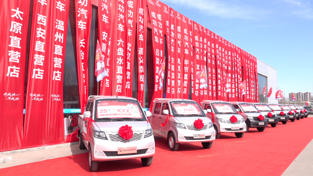 成功核弹级爆款斑马！订单破千创纪录